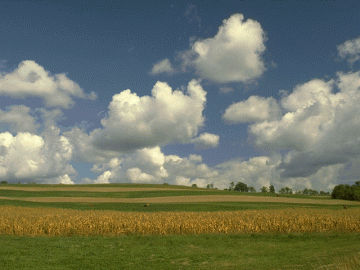 Pleasurable 5 Days Cochin to Thekkady Vacation Package