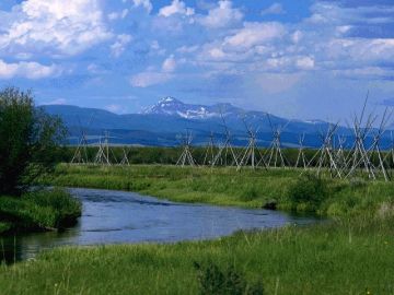 Pleasurable 5 Days Cochin to Thekkady Vacation Package