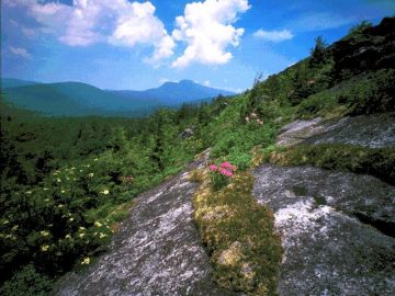 Pleasurable 5 Days Cochin to Thekkady Vacation Package