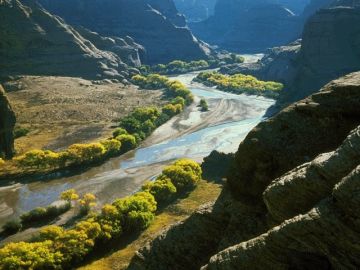 Pleasurable 5 Days Cochin to Thekkady Vacation Package