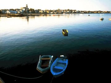 Pleasurable 5 Days Cochin to Thekkady Vacation Package