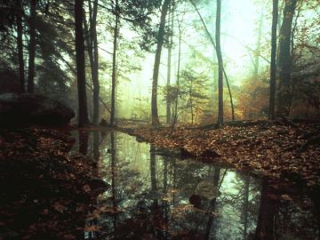 Pleasurable 5 Days Cochin to Thekkady Vacation Package