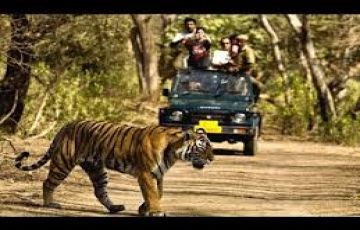 Memorable 6 Days Delhi, Mussoorie, Corbett and Nainital Tour Package