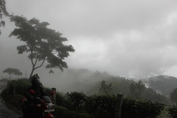 Memorable 7 Days Kochi to Munnar Honeymoon Tour Package