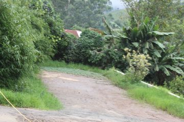 Memorable 7 Days Kochi to Munnar Honeymoon Tour Package