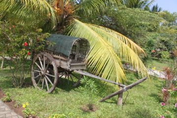 Ecstatic 7 Days Bangalore to Coorg Tour Package