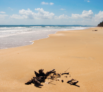 6 Days 5 Nights North Goa Tour Package