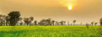 Experience Jalandhar Tour Package for 5 Days from Chandigarh