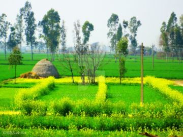 Experience Jalandhar Tour Package for 5 Days from Chandigarh