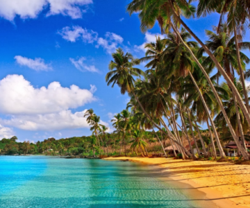 Ecstatic 2 Days 1 Night Goa Tour Package by Easy Your Holiday