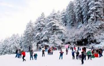 2 Days 1 Nights Shimla Tour Package