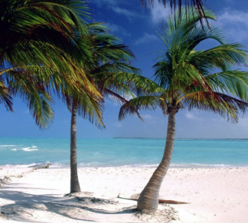 Heart-warming 6 Days North Goa Trip Package