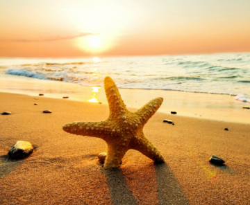 Magical 3 Days 2 Nights Goa and South Goa Holiday Package