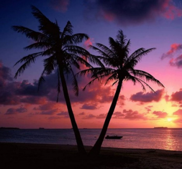 Family Getaway 6 Days 5 Nights Goa, North Goa, South Goa with Dudhsagar Holiday Package