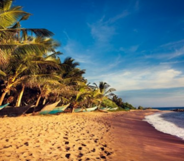 Best South Goa Tour Package for 4 Days from Goa