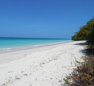 Best 5 Days 4 Nights Goa, North Goa with South Goa Trip Package