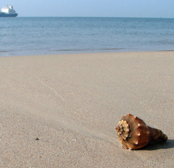 Memorable Dudhsagar Tour Package for 6 Days