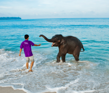 Best South Goa Tour Package for 6 Days