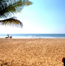 Best South Goa Tour Package for 6 Days