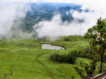 Ecstatic 2 Days 1 Night Bangalore and Coonoor Vacation Package