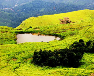Ecstatic 2 Days 1 Night Bangalore and Coonoor Vacation Package