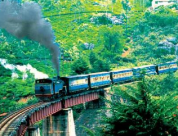 Memorable 3 Days 2 Nights Bangalore with Coonoor Trip Package