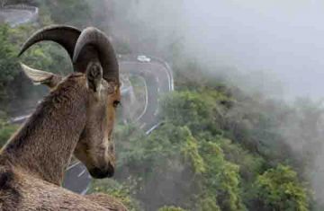 Experience 7 Days Cochin to Alleppey Tour Package