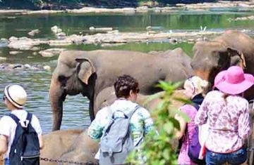 Pleasurable Munnar Tour Package for 7 Days 6 Nights from Ernakulam