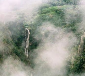 Family Getaway 4 Days Bangalore, Ooty and Coonoor Vacation Package