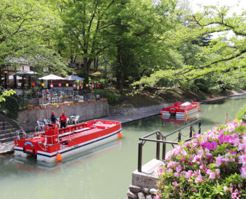 Heart-warming 5 Days 4 Nights Bangalore, Mysore, Ooty with Coonoor Trip Package