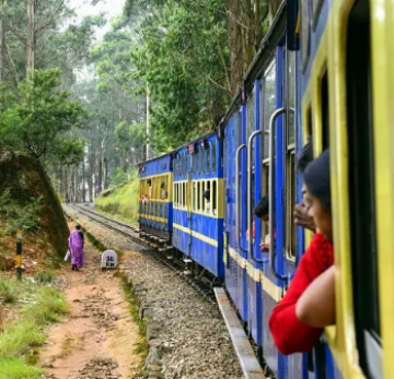 Heart-warming 5 Days 4 Nights Bangalore, Mysore, Ooty with Coonoor Trip Package