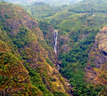 Heart-warming 5 Days Bangalore to Coorg Holiday Package