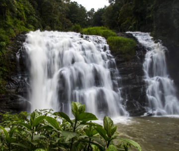 Amazing Coonoor Tour Package for 6 Days 5 Nights from Bangalore