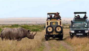 Pleasurable 3 Days Masai Mara To Nairobi Trip Package