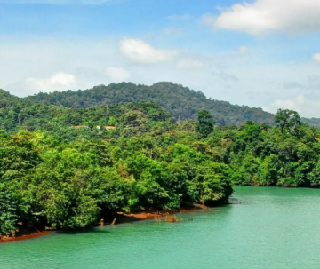 Beautiful 4 Days Bangalore, Mysore and Wayanad Tour Package