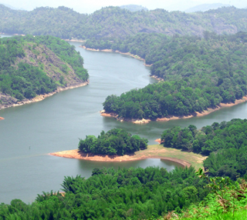 Heart-warming Wayanad Tour Package for 5 Days 4 Nights from Bangalore