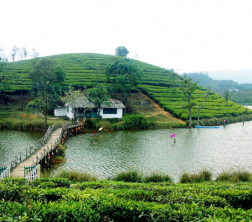 Heart-warming Wayanad Tour Package for 5 Days 4 Nights from Bangalore