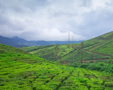 Best 6 Days 5 Nights Mysore Vacation Package