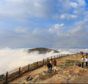 Magical 4 Days 3 Nights Bangalore Vacation Package