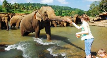 5 Days Kandy, Bentota and Colombo Tour Package