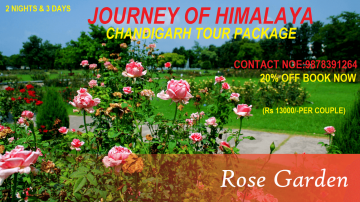 Experience 3 Days 2 Nights Amritsar-chandigarh Holiday Package