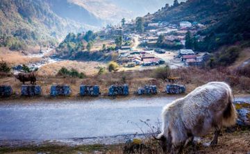 5 Days 4 Nights Lachung Tour Package