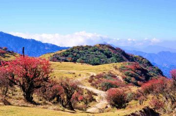 Memorable 2 Days Gangtok with Tsomgo Lake  Baba Mandir Tour Package