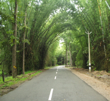 Best Ooty Tour Package for 4 Days from Bangalore