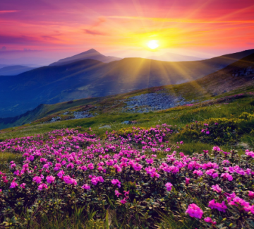 Amazing 6 Days 5 Nights Ooty Trip Package