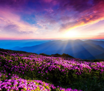 Amazing 6 Days 5 Nights Ooty Trip Package