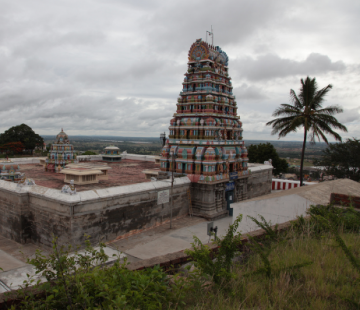 Amazing 6 Days Bangalore, Mysore, Wayanad with Ooty Trip Package