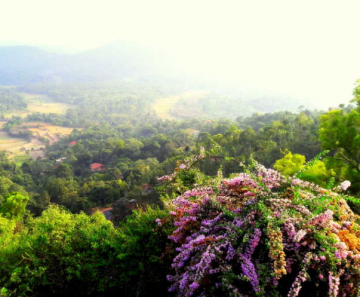 Best 5 Days Bangalore to Mysore Trip Package