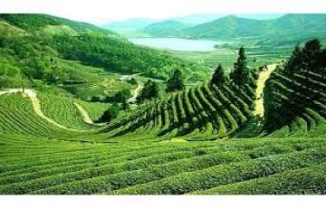 Pleasurable 6 Days Ixb Njp Railway Station to Darjeeling Trip Package