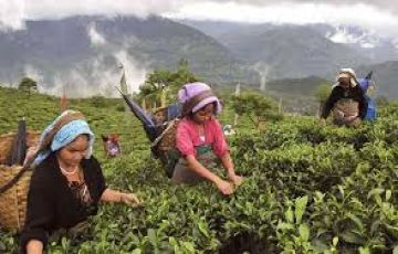 Pleasurable 6 Days Ixb Njp Railway Station to Darjeeling Trip Package